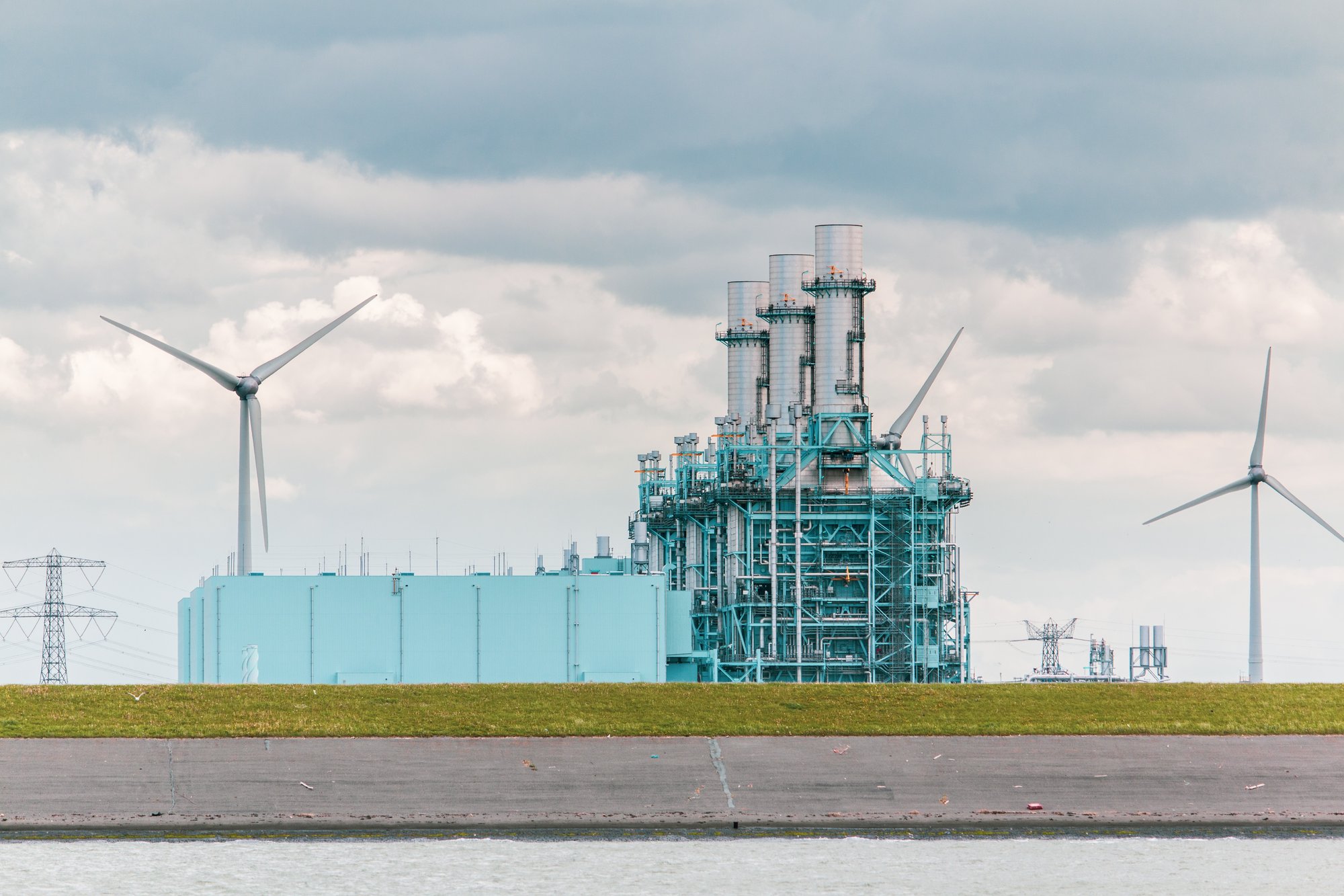 energy-intensive industry